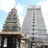 Nandhi view arunachaleswarar temple